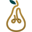 goldenpearfunding.com favicon