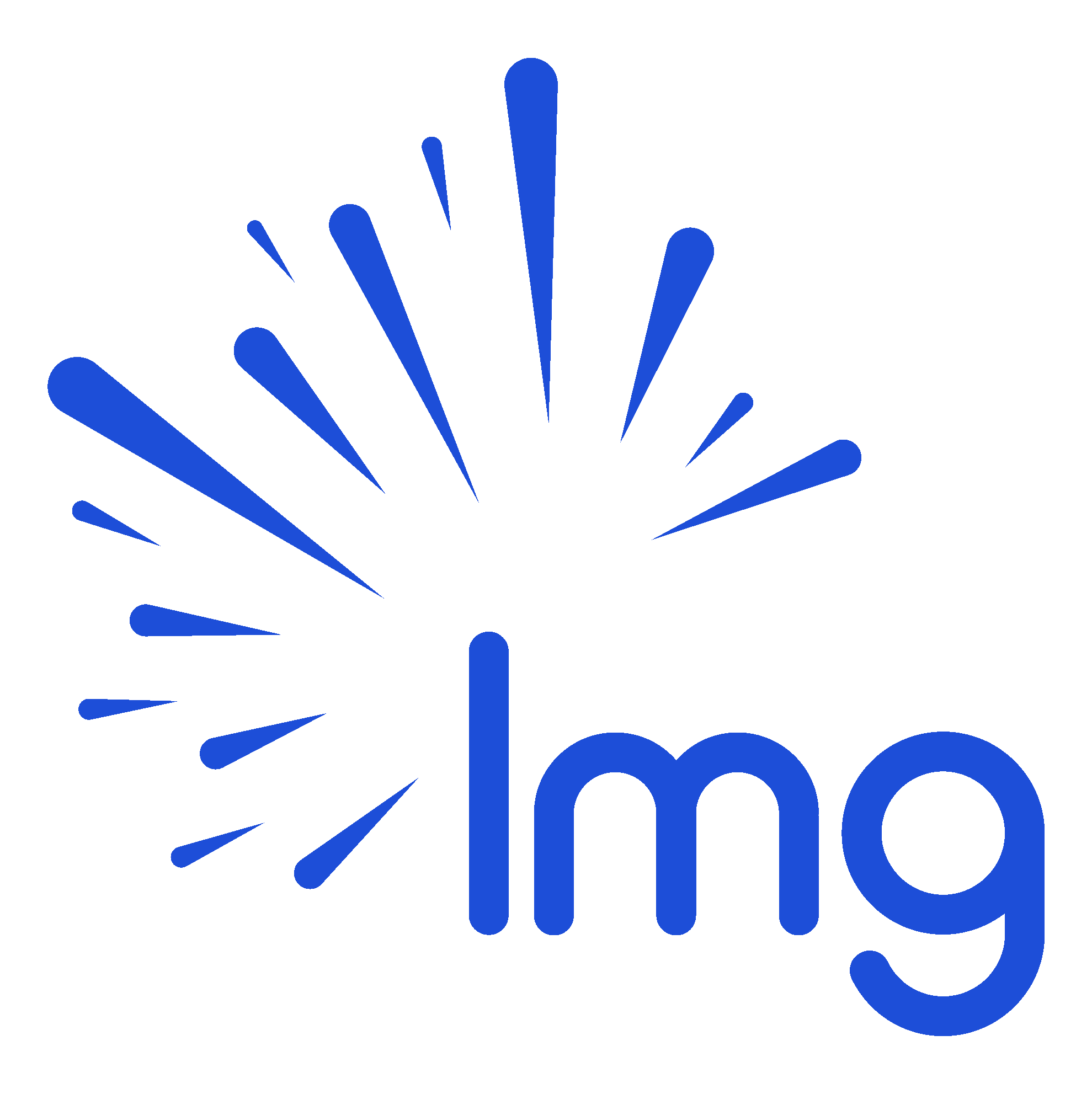 lightmgroup.com favicon