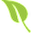 yourgreenpal.com favicon