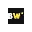 borawins-br.com favicon