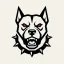 cyberguard-agent.com favicon