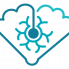 neuronavet.com favicon