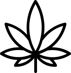 cann24.de favicon