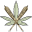 cannaclubco.io favicon