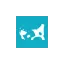 capevets.co.uk favicon