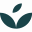 ivywise.com favicon