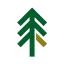 kingswoodtreecare.co.uk favicon