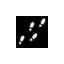 newmanchesterwalks.com favicon