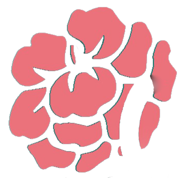 soshin.nl favicon
