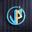 vantagepremier.com favicon