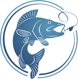 wesdijkhengelsport.nl favicon