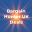 bargainhunteruk.co.uk favicon
