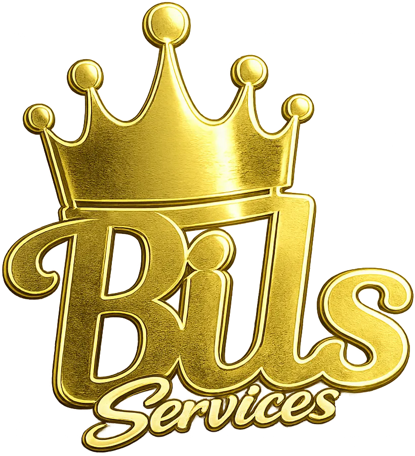 bilsservices.com favicon