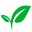 campadu.de favicon