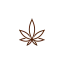 italyhemp.it favicon