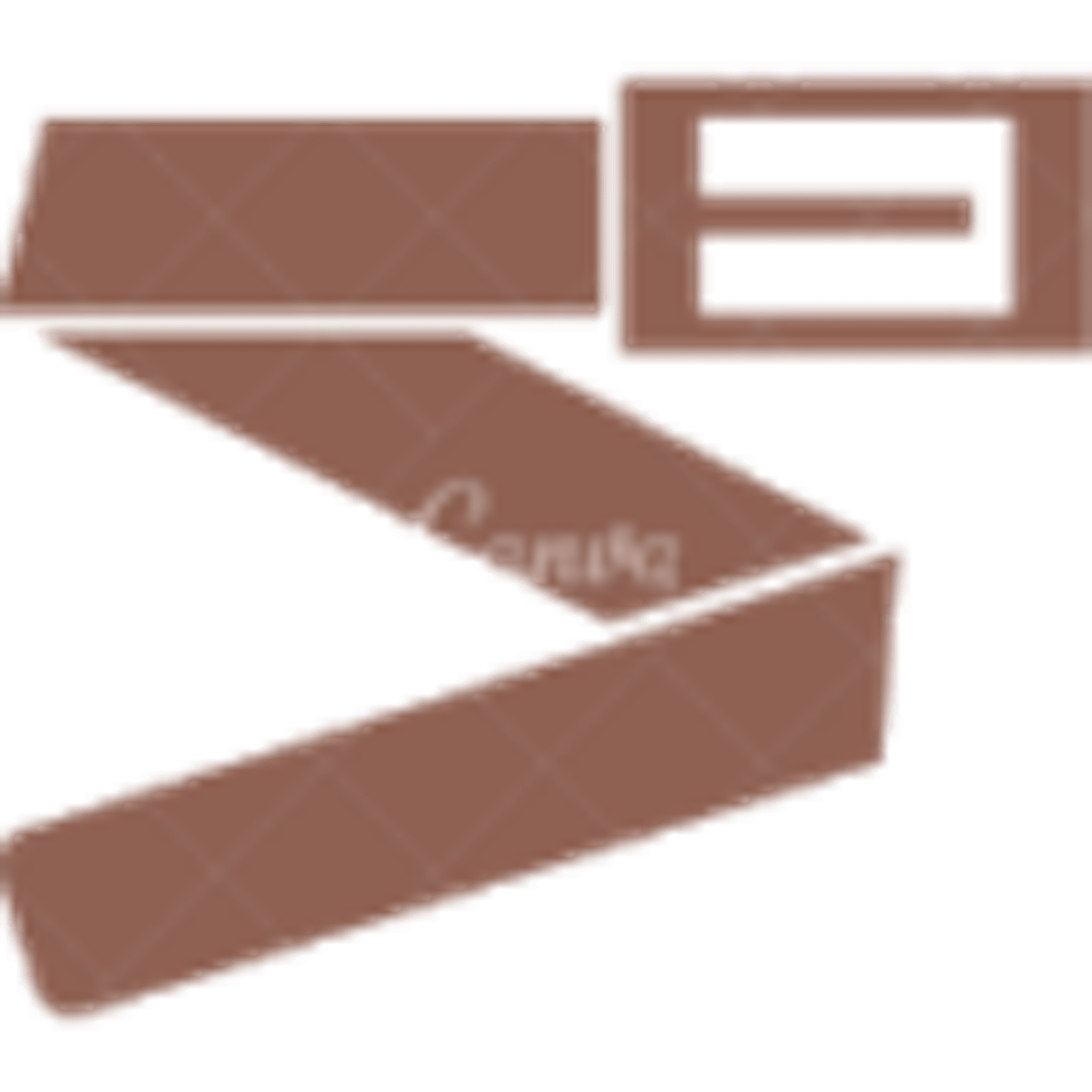 lederriemen.nl favicon