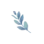 mademoiselle-dentelle.fr favicon