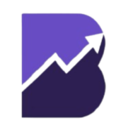 brandefyn.com favicon