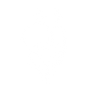 drtahaclinic.com favicon