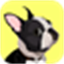 everydoggy.com favicon