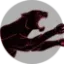 fastcat.co favicon