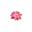 grylliswaterlilies.gr favicon