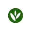 mygreensdaily.com favicon
