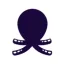 octopus-realestate.com favicon