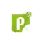 passdrivingschool.co.uk favicon