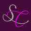 southern-charms.com favicon