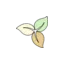 tea-time.store favicon