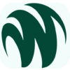 wapiverse.com favicon