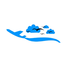bigbirdtravel.com favicon