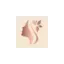 chicsglow.com favicon