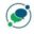 digimiles.in favicon