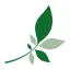 hoteltermeolympia.com favicon