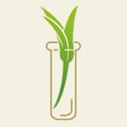 manrofun.com favicon