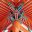 phoenixglass.co.uk favicon