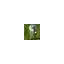 stangtennispro.dk favicon