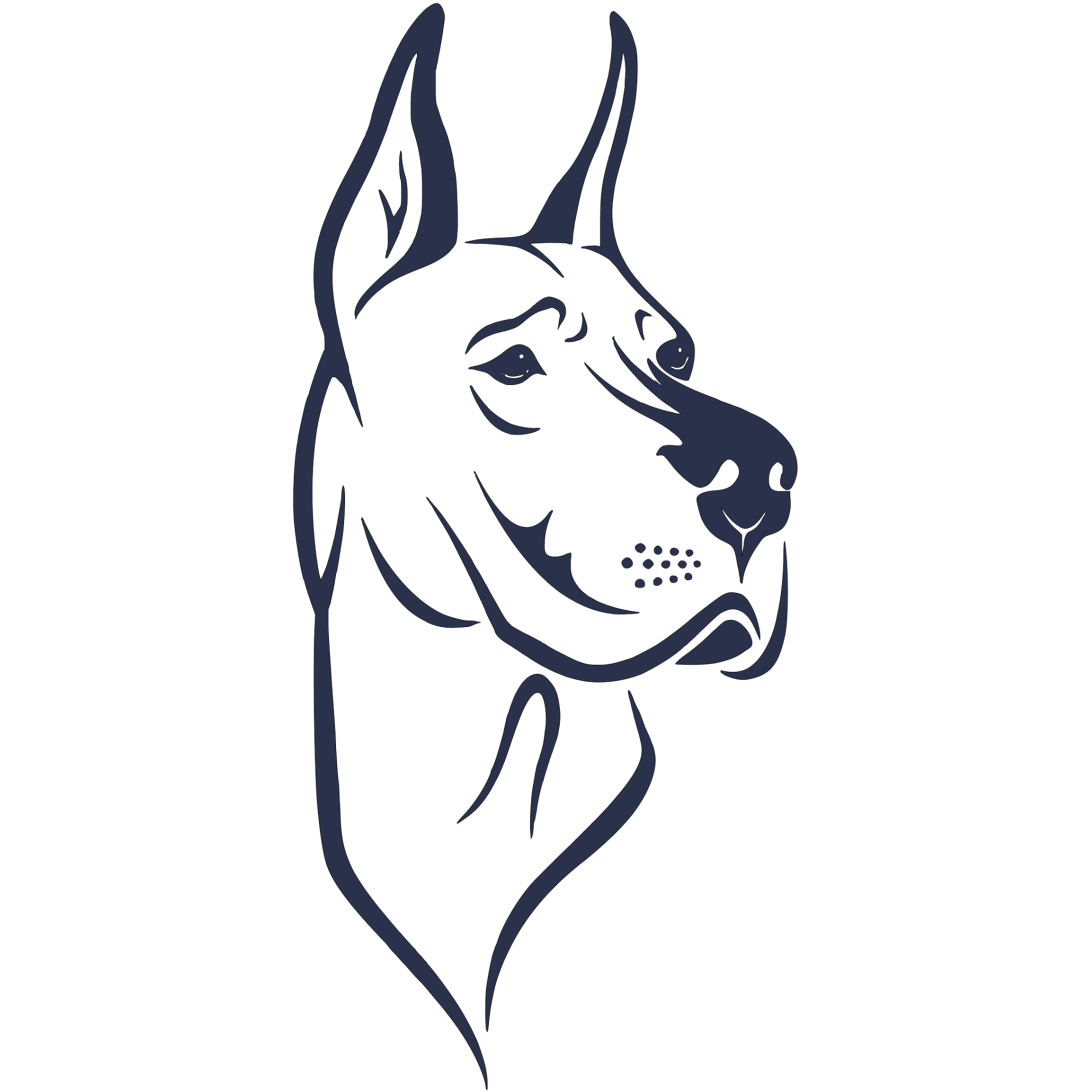 topdawg.com favicon