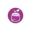violamelanzana.it favicon