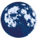 wellamoon.com favicon