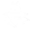 blankhack.com favicon