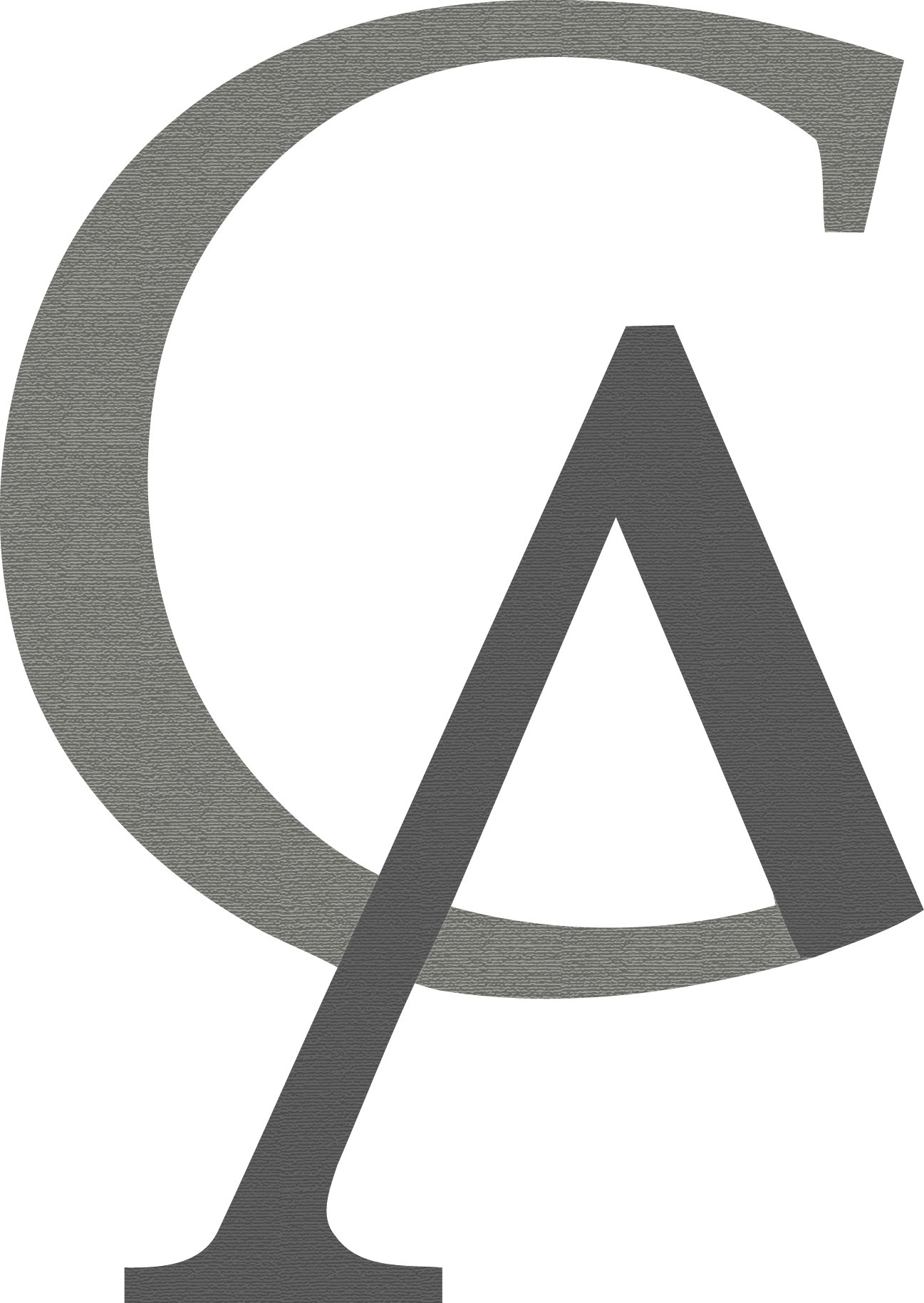 casa-aktiva.com favicon