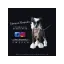 cyberspacehundcenter.com favicon