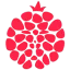 melograno51.it favicon
