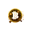 bitcoinvestmentnetwork.com favicon