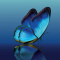 coachingdereflectie.be favicon