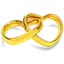 fabricadasaliancas.com.br favicon