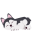 huskydays.com favicon